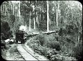 54 - Timber Train - WA